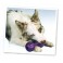 WAGGLE jouet de réflexion distributeur de croquettes et friandises pour chien et chat